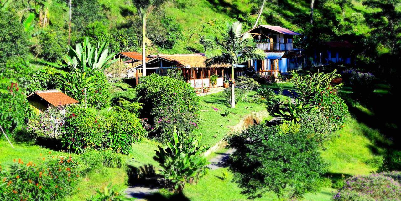 Ecolodge Puente Explanacion Salento Exteriér fotografie