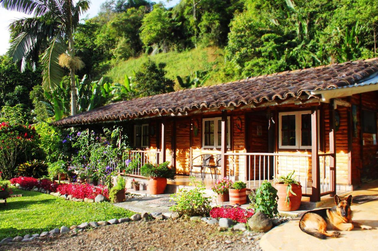 Ecolodge Puente Explanacion Salento Exteriér fotografie