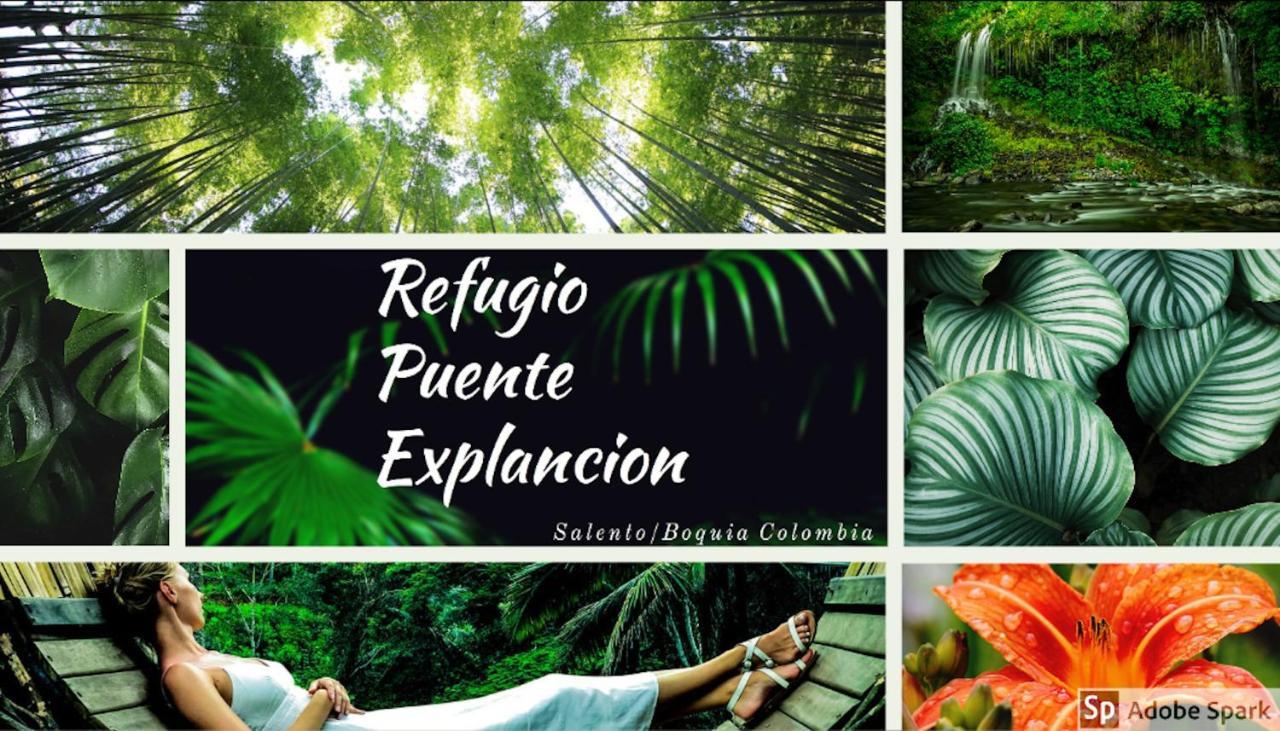 Ecolodge Puente Explanacion Salento Exteriér fotografie