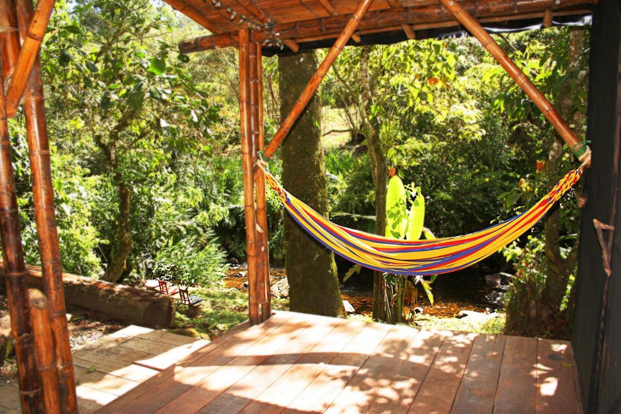 Ecolodge Puente Explanacion Salento Exteriér fotografie