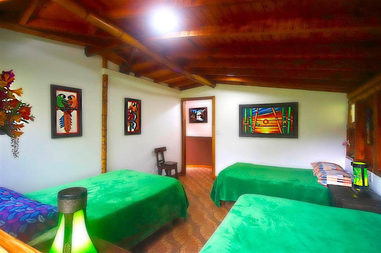 Ecolodge Puente Explanacion Salento Exteriér fotografie