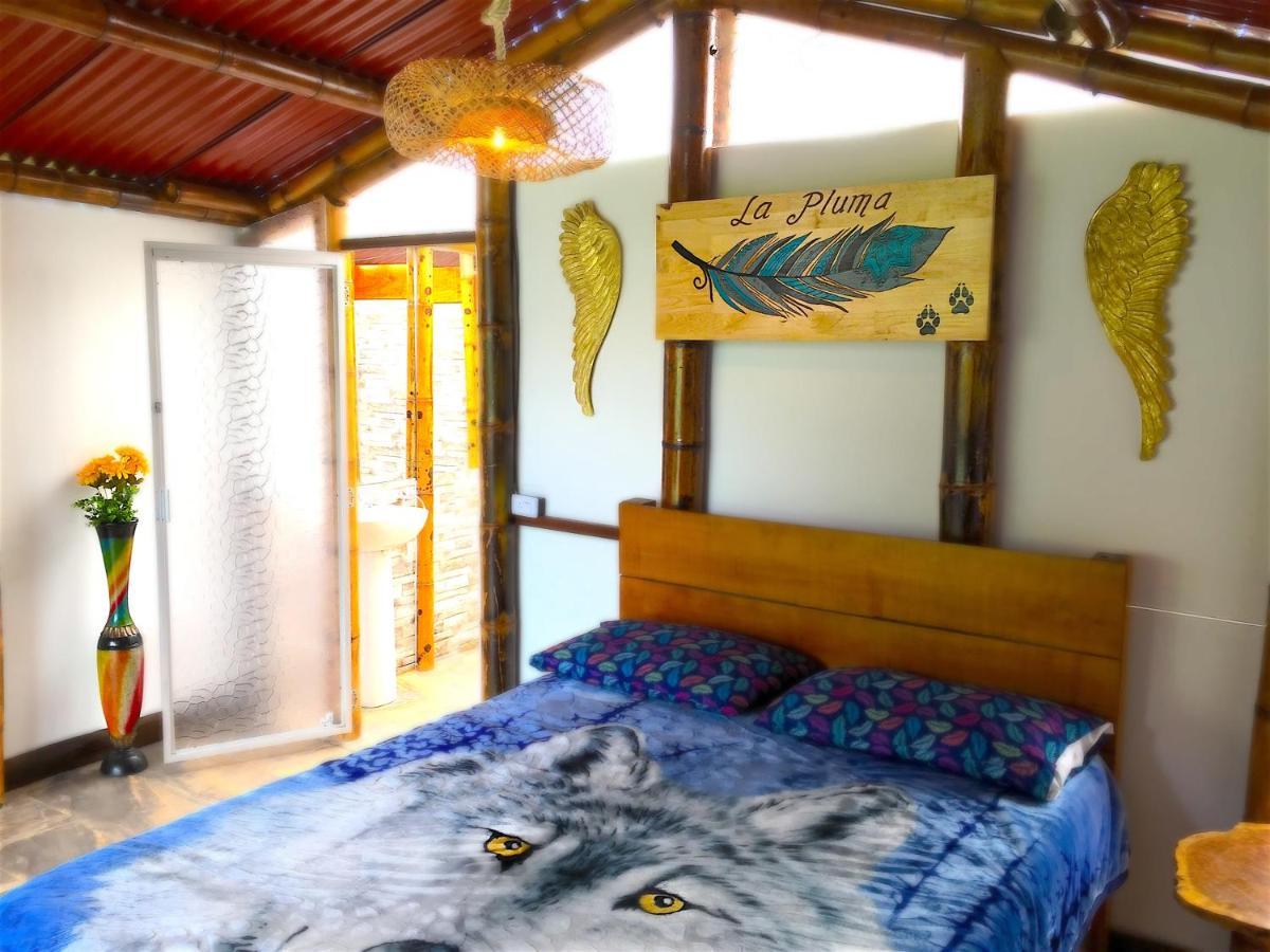 Ecolodge Puente Explanacion Salento Exteriér fotografie